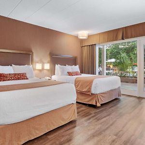 Zimmer mit Queensize-Bett