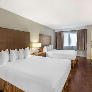 Zimmer mit Queensize-Bett