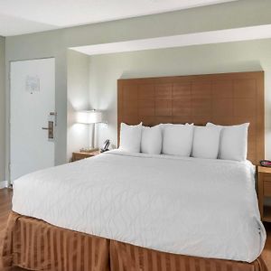 Zimmer mit Kingsize-Bett
