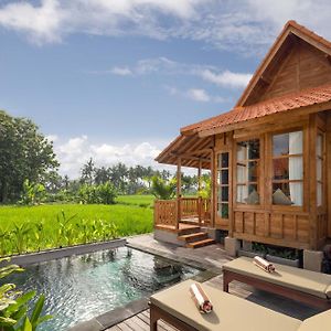 Pool Villa mit 1 Schlafzimmer