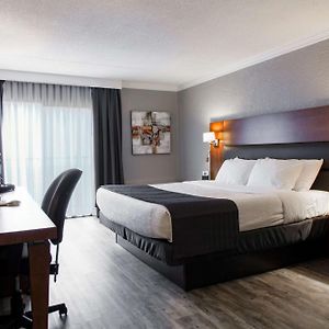 Zimmer mit Kingsize-Bett