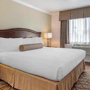 Großes Zimmer mit Kingsize-Bett