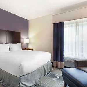 Suite mit 1 Schlafzimmer und mit Kingsize-Bett
