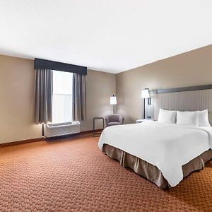 Zimmer mit Kingsize-Bett für Gäste mit Behinderungen