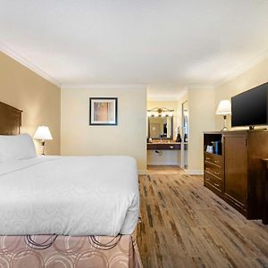 Zimmer mit Kingsize-Bett