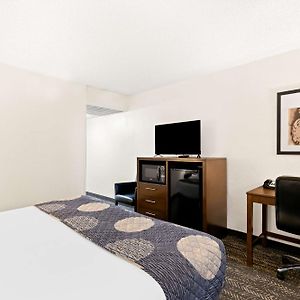 Zimmer mit Kingsize-Bett