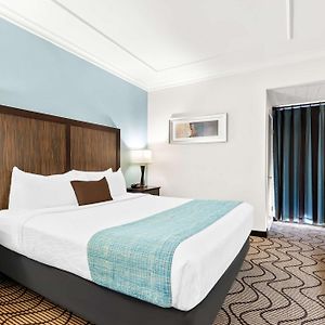 Suite mit Kingsize-Bett