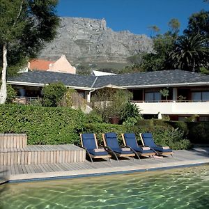 Lezard Bleu Guest House