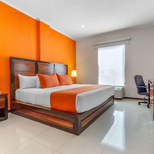 Standard Zimmer mit Kingsize-Bett