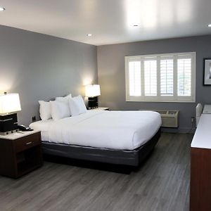 Suite mit 1 Zimmer mit Kingsize-Bett