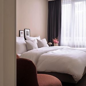 Stayery Cologne Suelz
