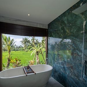Premier Zimmer