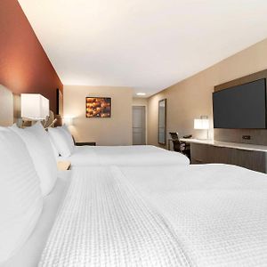 Suite mit Queensize-Bett für Gäste mit Behinderungen