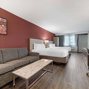 Suite mit Queensize-Bett für Gäste mit Behinderungen