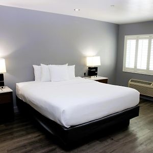 Große Suite mit 1 Zimmer mit Kingsize-Bett