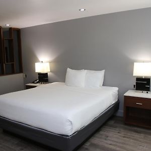 Suite mit 1 Zimmer für Gäste mit Behinderungen
