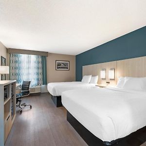 Zimmer mit Queensize-Bett