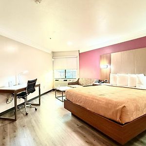 Zimmer mit Kingsize-Bett für Gäste mit Behinderungen