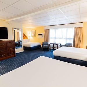 Familien-Suite mit Queensize-Bett