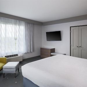 Suite mit Kingsize-Bett
