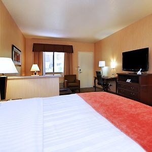 Suite mit Zugang für Rollstuhlfahrer mit Kingsize-Bett