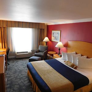 Zimmer mit Kingsize-Bett