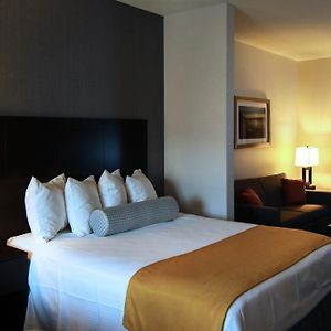 Suite mit Kingsize-Bett