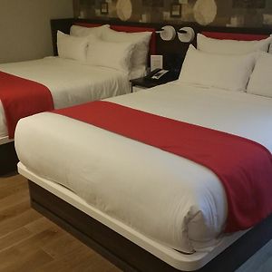 Standard Zimmer mit Kingsize-Bett