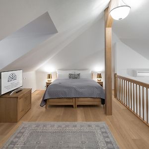 Superior Studio mit Kingsize-Bett