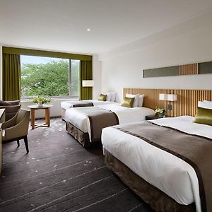 Deluxe Zimmer mit zwei Einzelbetten