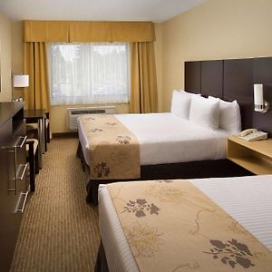 Zimmer mit Queensize-Bett