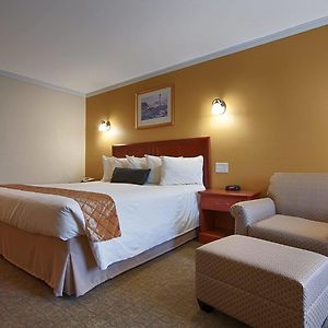Zimmer mit Kingsize-Bett