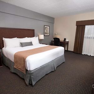 Zimmer mit Kingsize-Bett