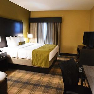 Zimmer mit Kingsize-Bett