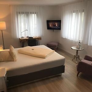 Comfort  Main Building King Room