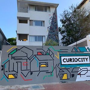 Curiocity Green Point