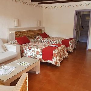 Zimmer mit Kingsize-Bett