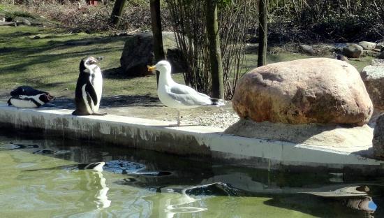 Tierpark Neumünster
