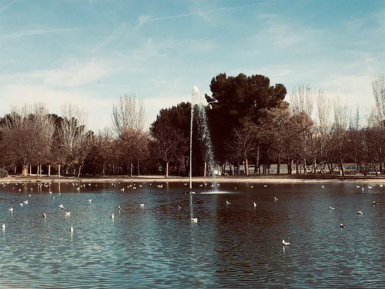 Parque Enrique Tierno Galvan