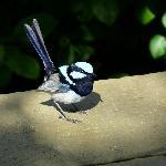 Cafe Im Haus Der Geschichte