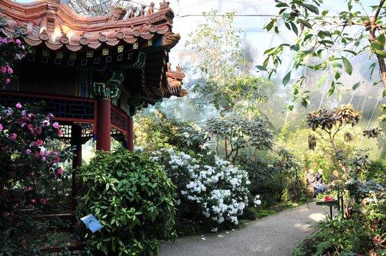 Rhododendron-Park Bremen