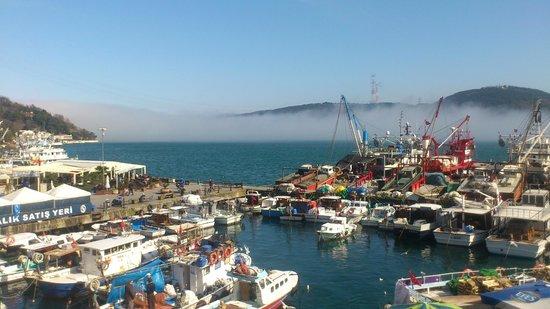 Dolphin Class Restaurant