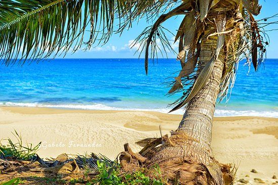 Fernandez Photography & Arts Gallery NSB