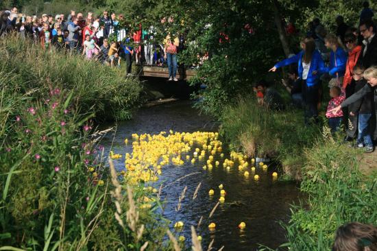 Braidburn Valley Park