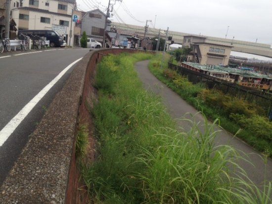 Red Brick Breakwater
