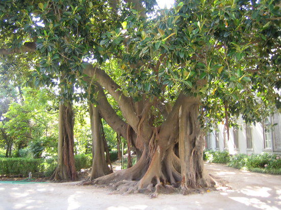 Museu Nacional de História Natural E da Ciência