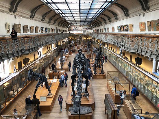 Naturgeschichtliches Museum