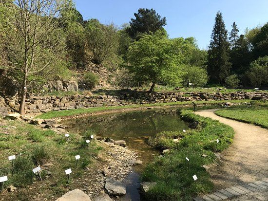 Botanischer Garten der Universität Osnabrück