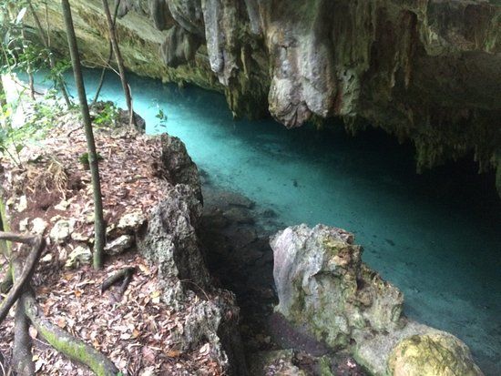 Cenotes Sac Actún