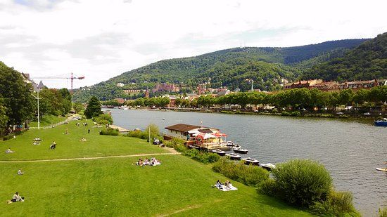 Neckarwiese